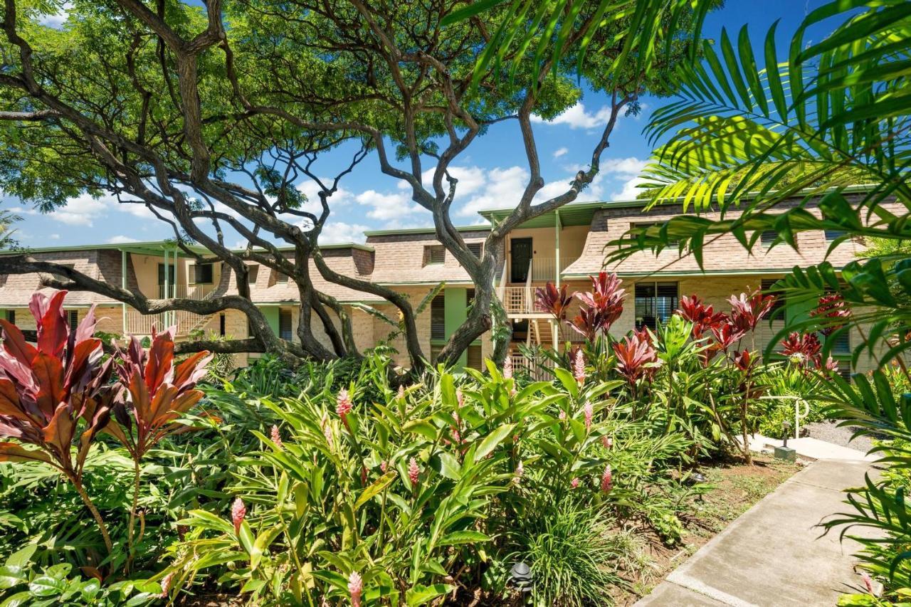 Big Island Keauhou Akahi #311 Home 凯路亚-科纳 外观 照片