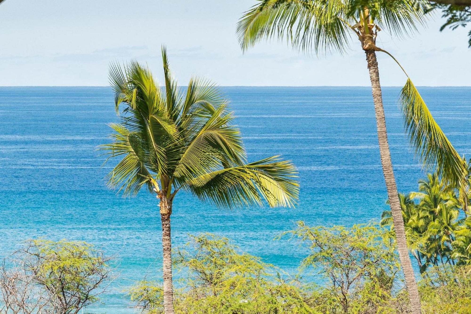 Big Island Keauhou Akahi #311 Home 凯路亚-科纳 外观 照片